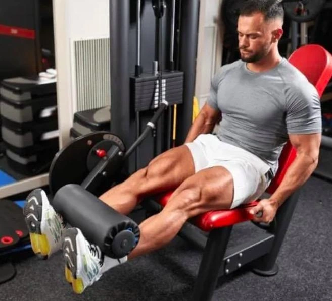 Seated Leg Extensions