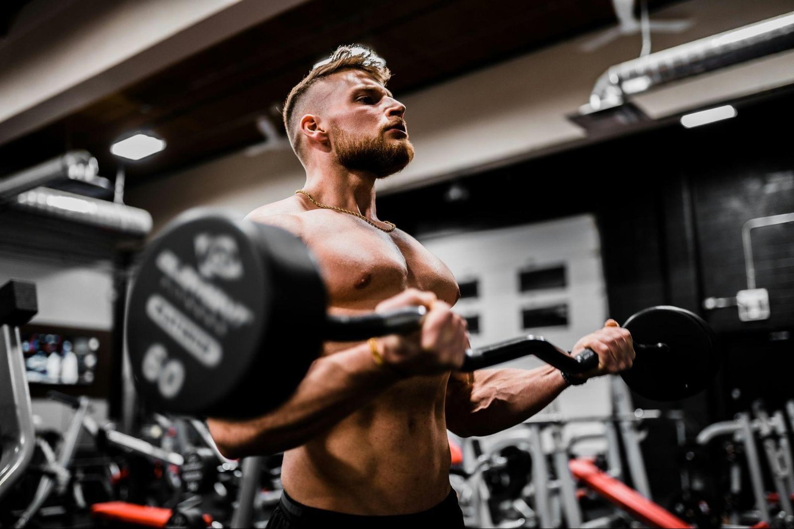 The Top 5 Supplements for Explosive Muscle Growth