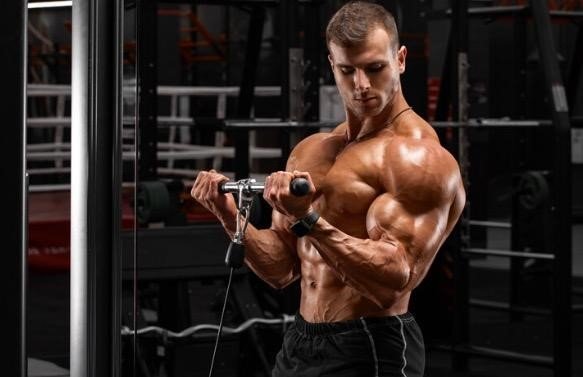 6 Best Bicep Cable Workouts for Massive Arms